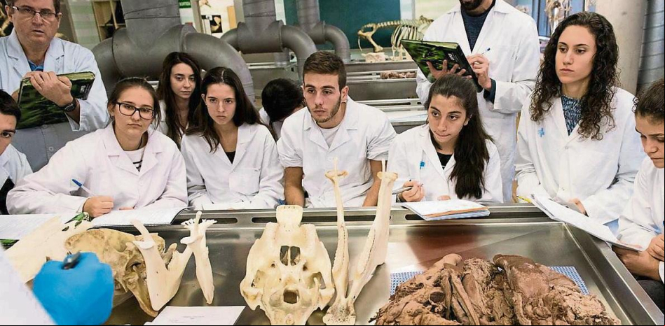 Las facultades de los campus españoles pierden posición mundial, según el QS