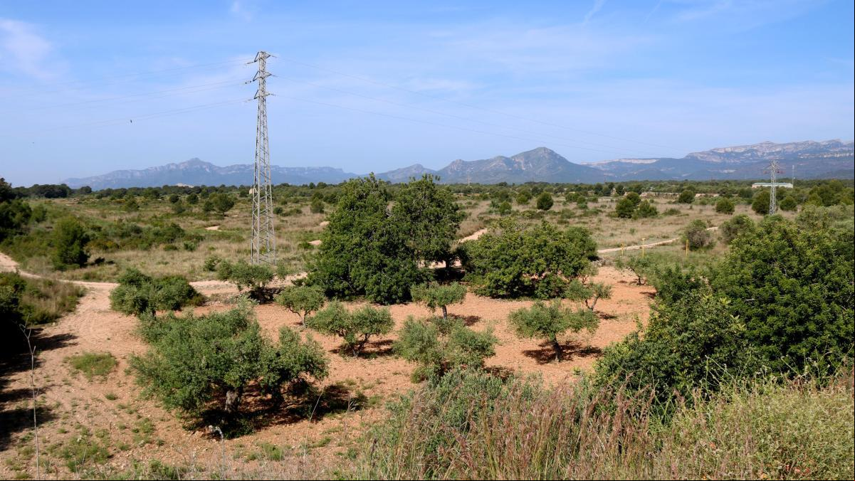 La coreana Iljin tendrá una macro planta solar junto a su fábrica para baterías de Tarragona