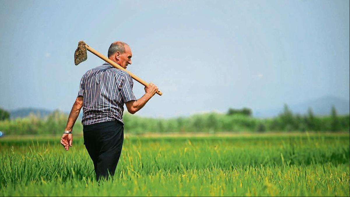 Sostenibilidad y viabilidad se dan la mano en el sector agroalimentario
