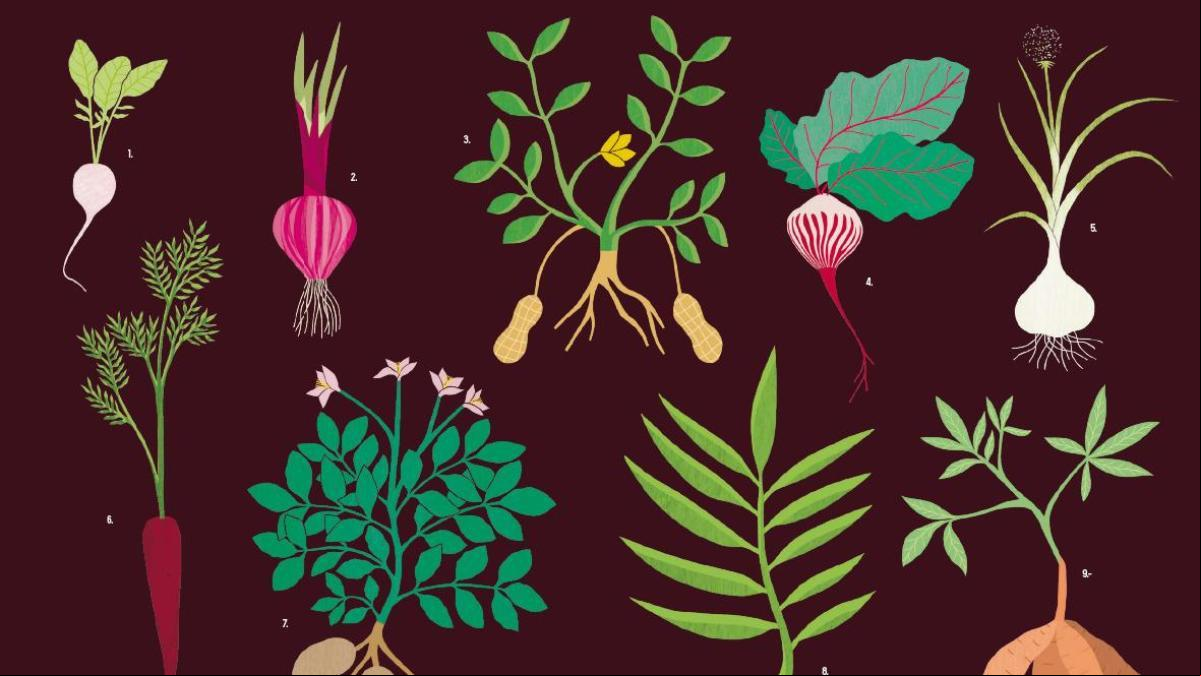 Cuentos comestibles y otros condimentos de la cocina literaria
