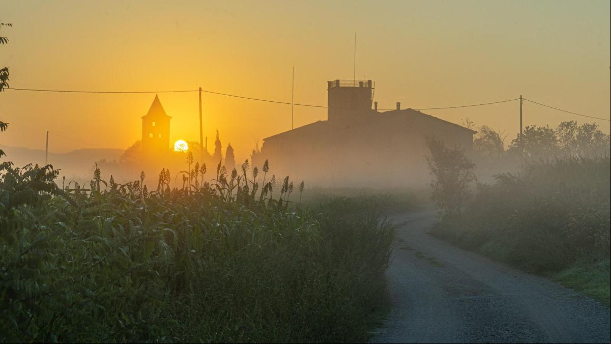 La belleza de la hora dorada de la neblina
