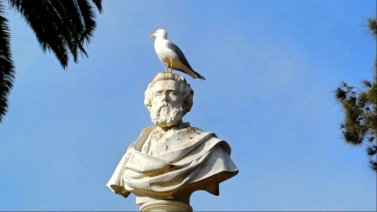 La gaviota de Víctor Balaguer