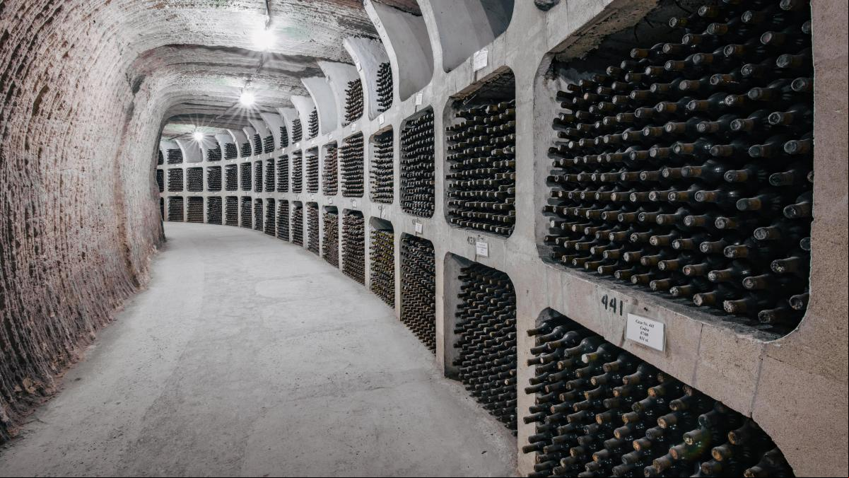 Moldavia, paraíso para amantes del vino: rutas entre viñedos y colección más grande del mundo