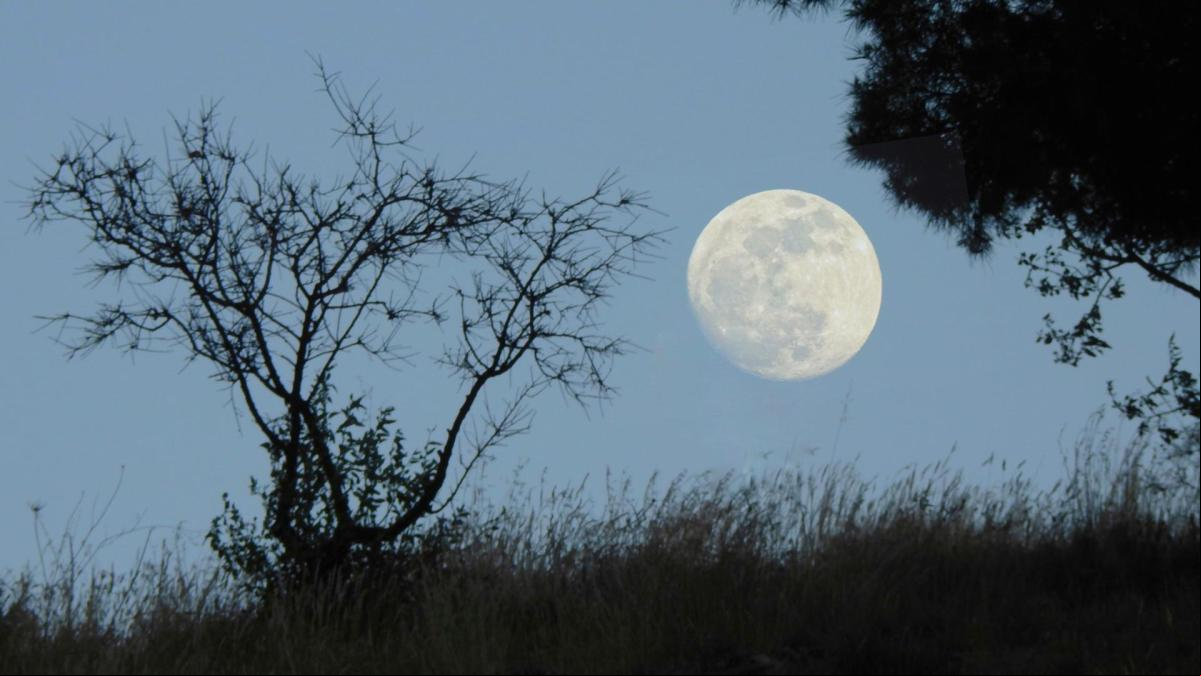 ¿Qué es el 97 de la luna?