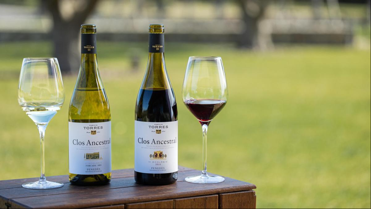 Familia Torres, premiada por BBVA y el Celler de Can Roca