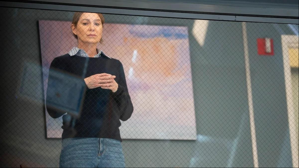 Así ha tomado el pelo Anatomía de Grey a su audiencia