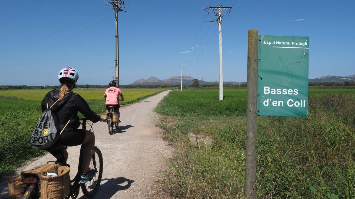 Los ecologistas denuncian que Pals quiere hacer un vial en unos humedales