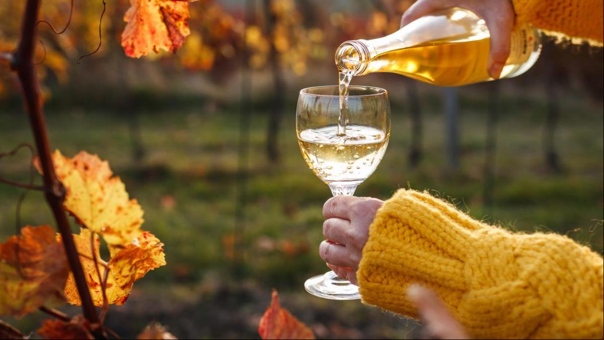 7 vinos confortables que huelen y saben a otoño