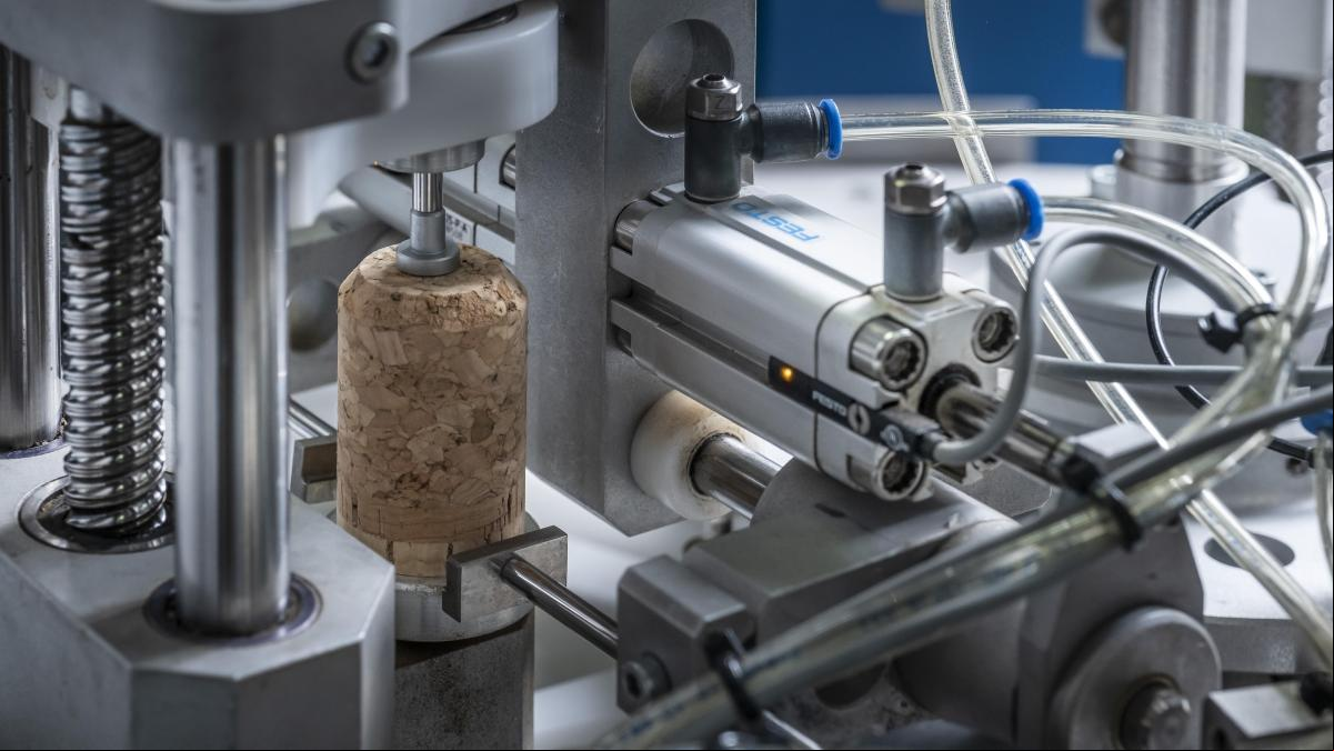 Un plan para triplicar la extracción de corcho