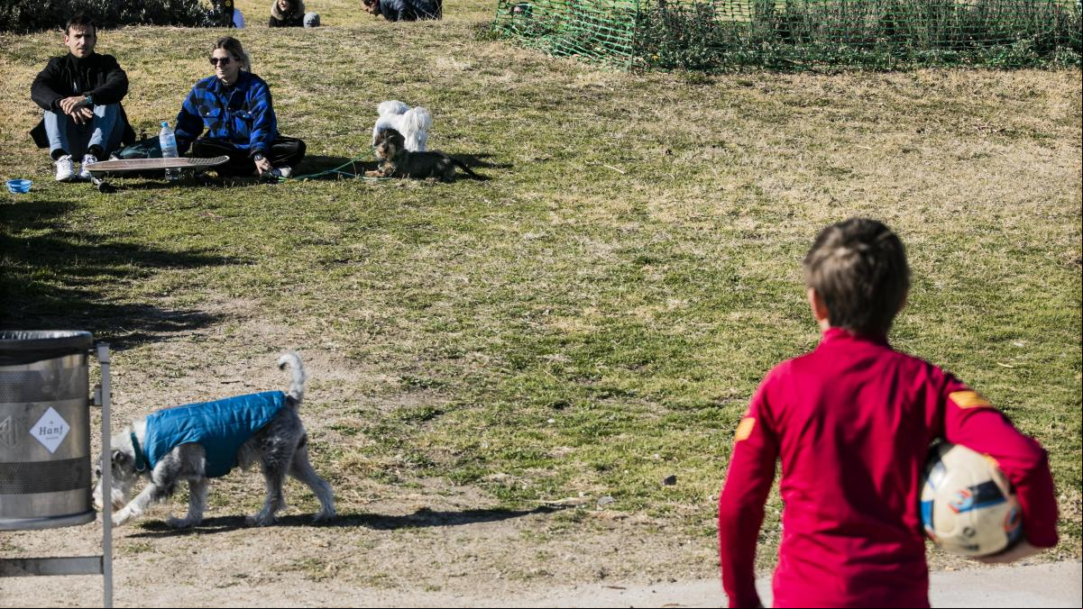 España se queda sin niños: hay 80.000 menos que en 2023