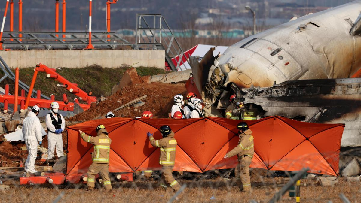 La hipótesis de los pájaros y el tren de aterrizaje en el accidente del avión de Corea del Sur
