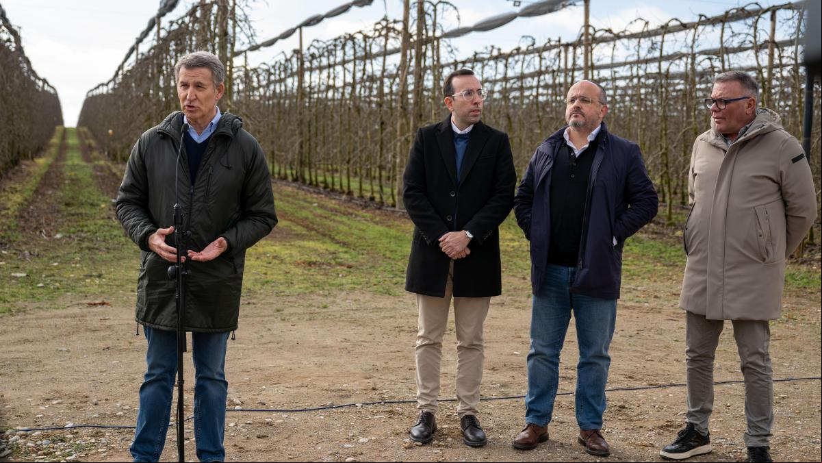Feijóo avisa del perjuicio de la pugna de Sánchez con Trump para los productos españoles