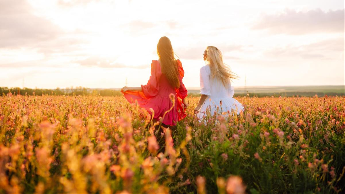 Cerezos, tulipanes, amapolas... las floraciones más bellas de Europa