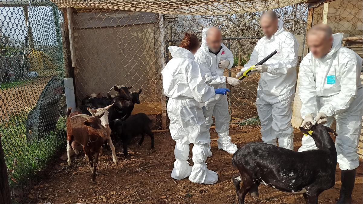 Dos detenidos tras encontrar en Tarragona una finca con animales robados y muertos