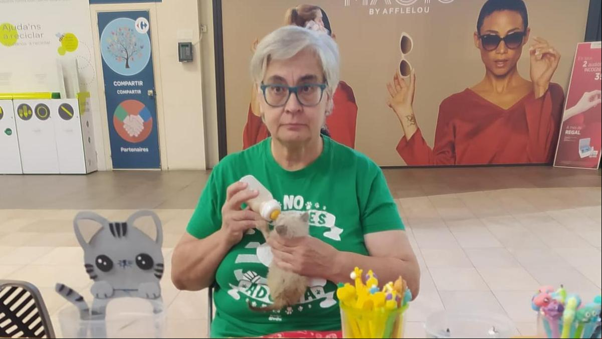 Gloria Herrera, gestora de colonias felinas, 64 años: “Una vez intentaron golpear a una madre con bebés; le quité el palo, le advertí que lo denunciaría y cuando fue a por mí, lo cogí del cuello. No volvió a hacer nada”