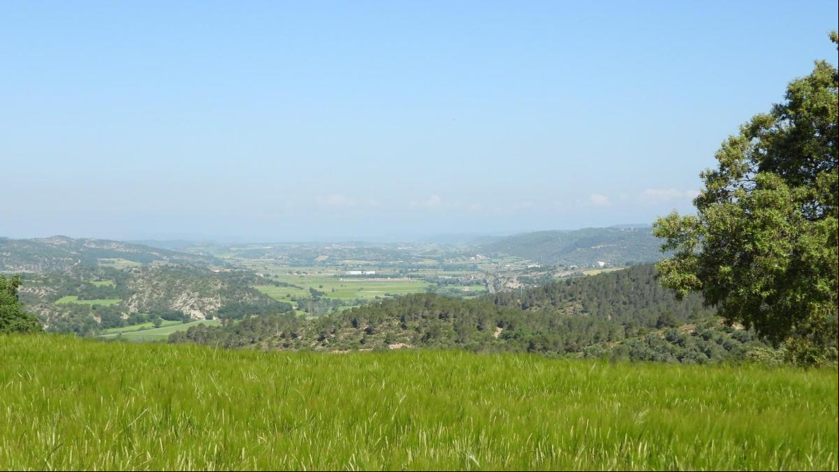 Los paisajes de la Alta Segarra