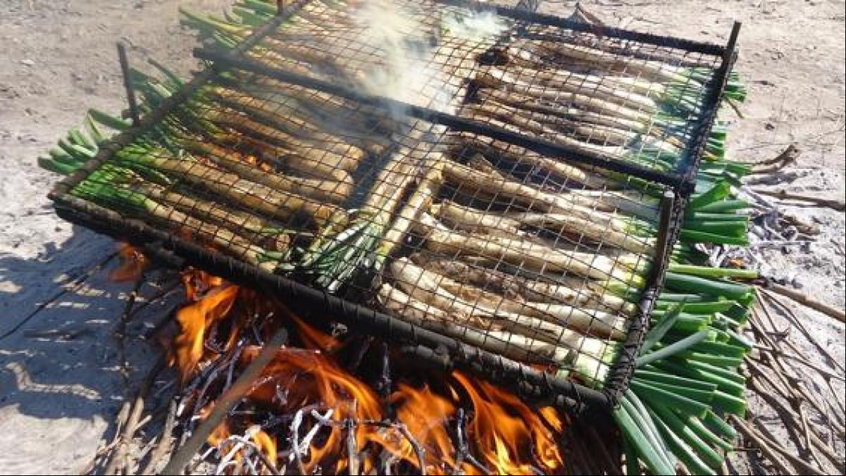 De Valls a Ámsterdam: los calçots protagonizan una celebración simultánea en cinco ciudades