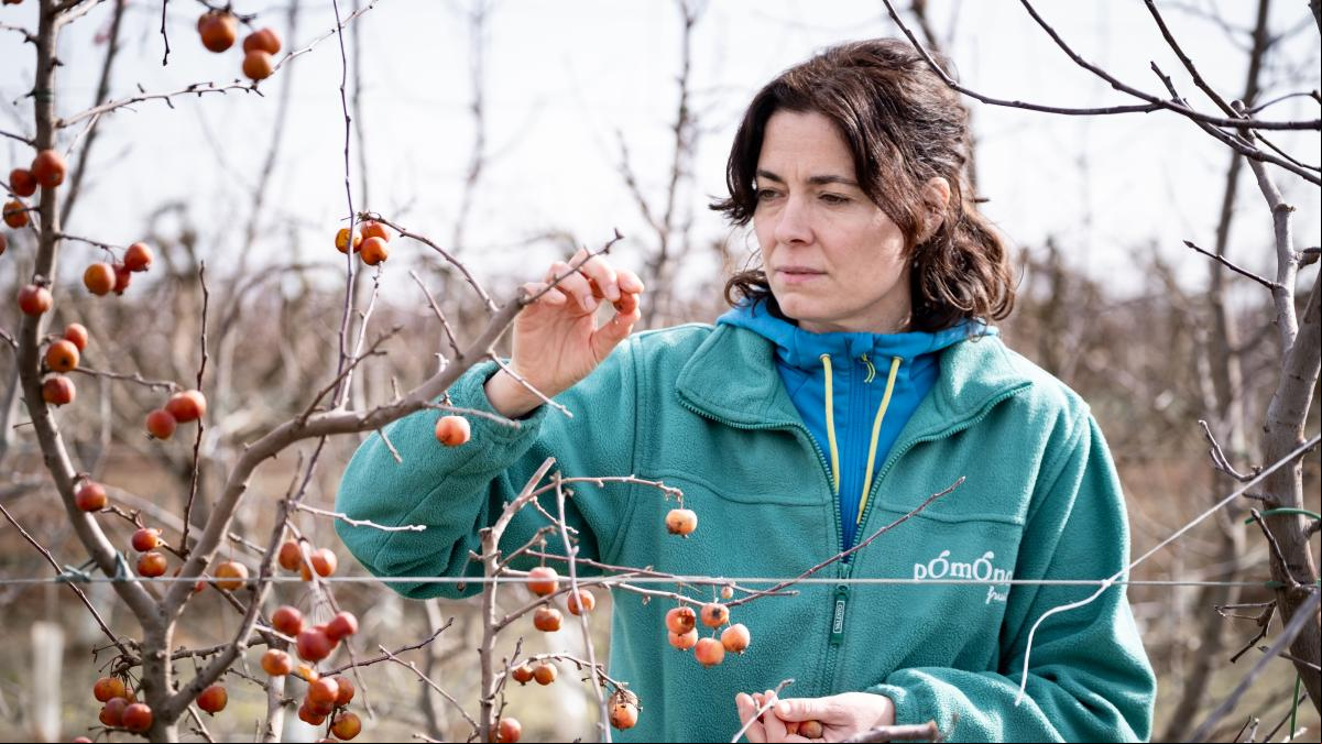 “La lucha es entre agricultura familiar y agroindustria”