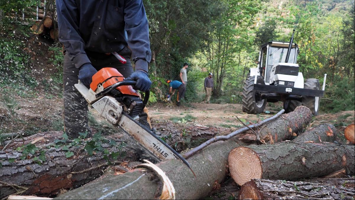 Un hombre muere tras caerle encima el árbol que estaba talando en Valdés, Asturias