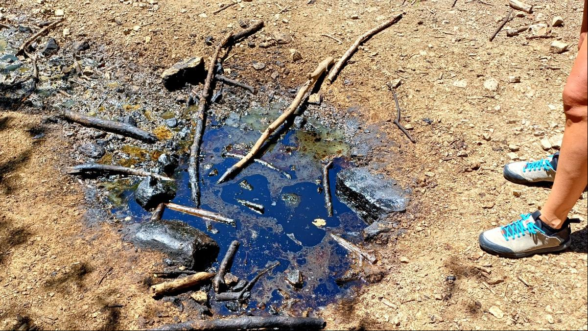 La enigmática surgencia en el bosque de La Pobla de Lillet