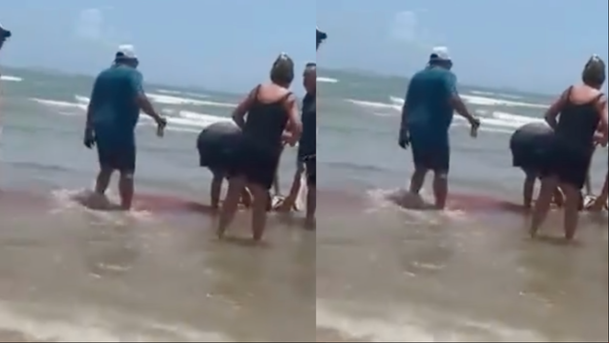 Horror en una playa de Texas por el ataque de un tiburón sobre cuatro personas