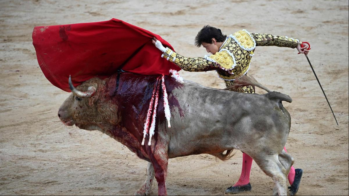 Roca Rey, de nuevo por la puerta grande y oreja para la delicatessen de Pablo Aguado