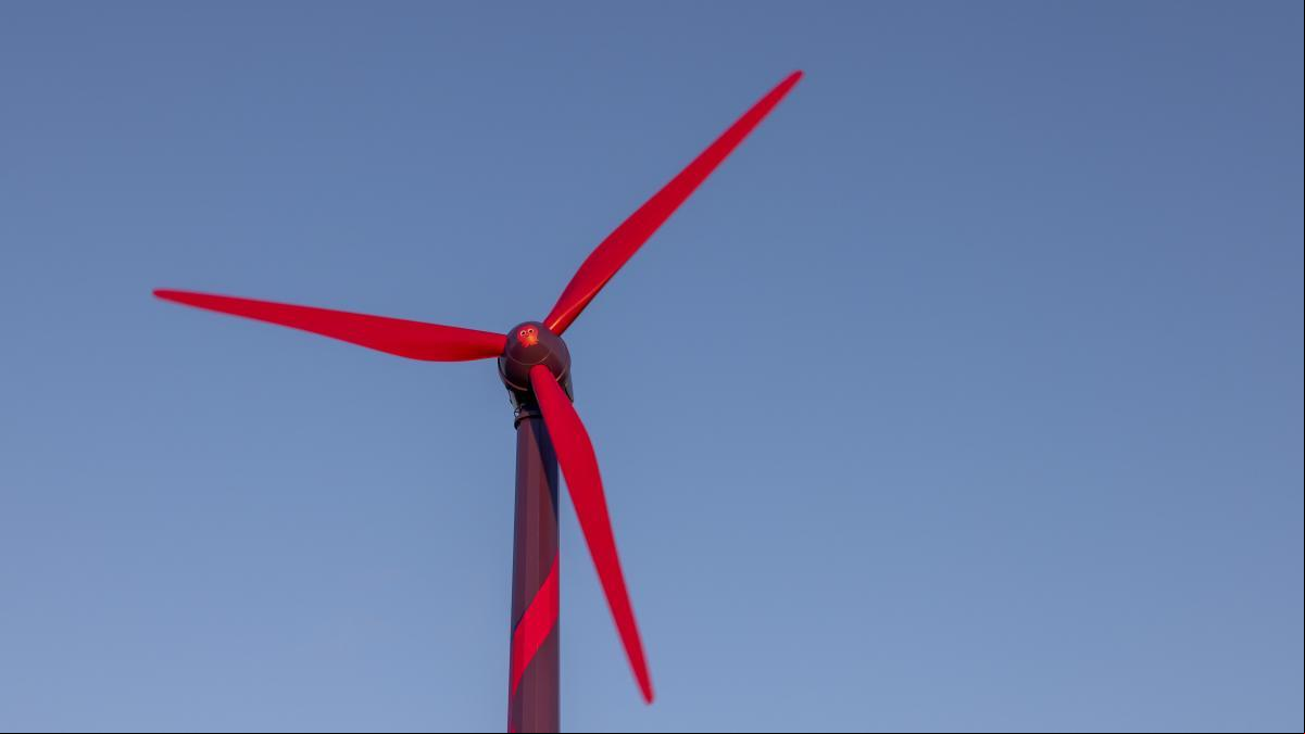 Octopus: la eléctrica que propone que no gastes