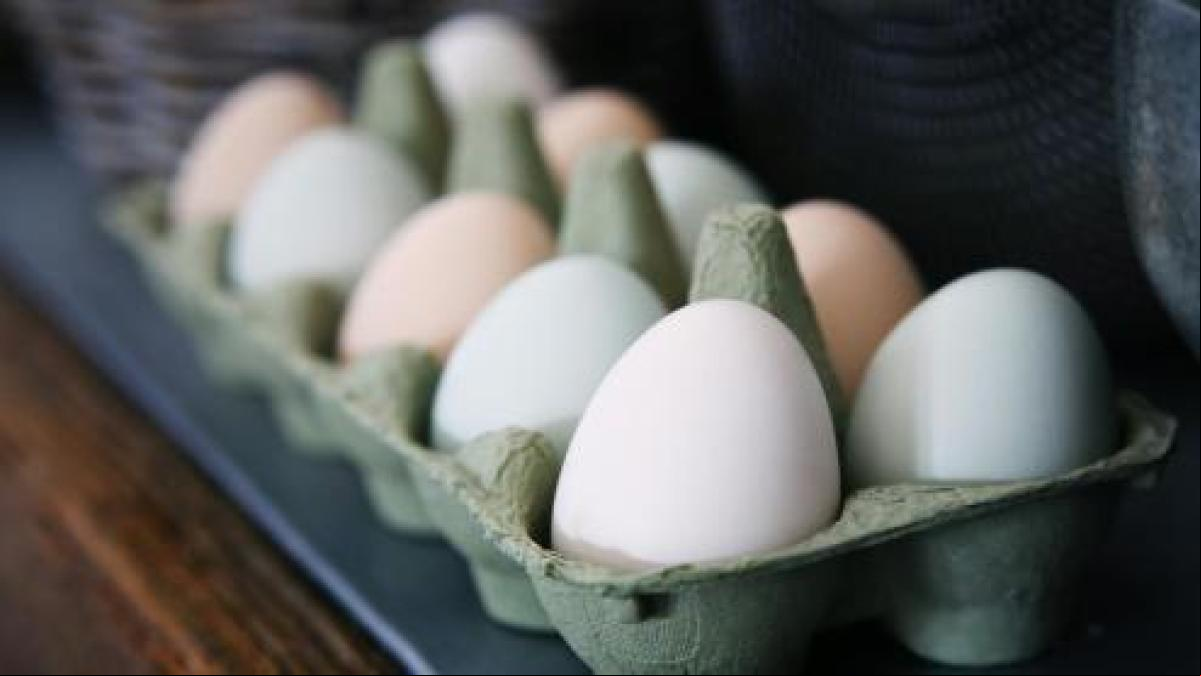 Una nutricionista revela la diferencia entre guardar los huevos en la nevera o a temperatura ambiente