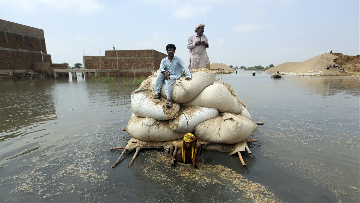 Impuestos a millonarios, criptomonedas y plásticos para pagar la acción climática