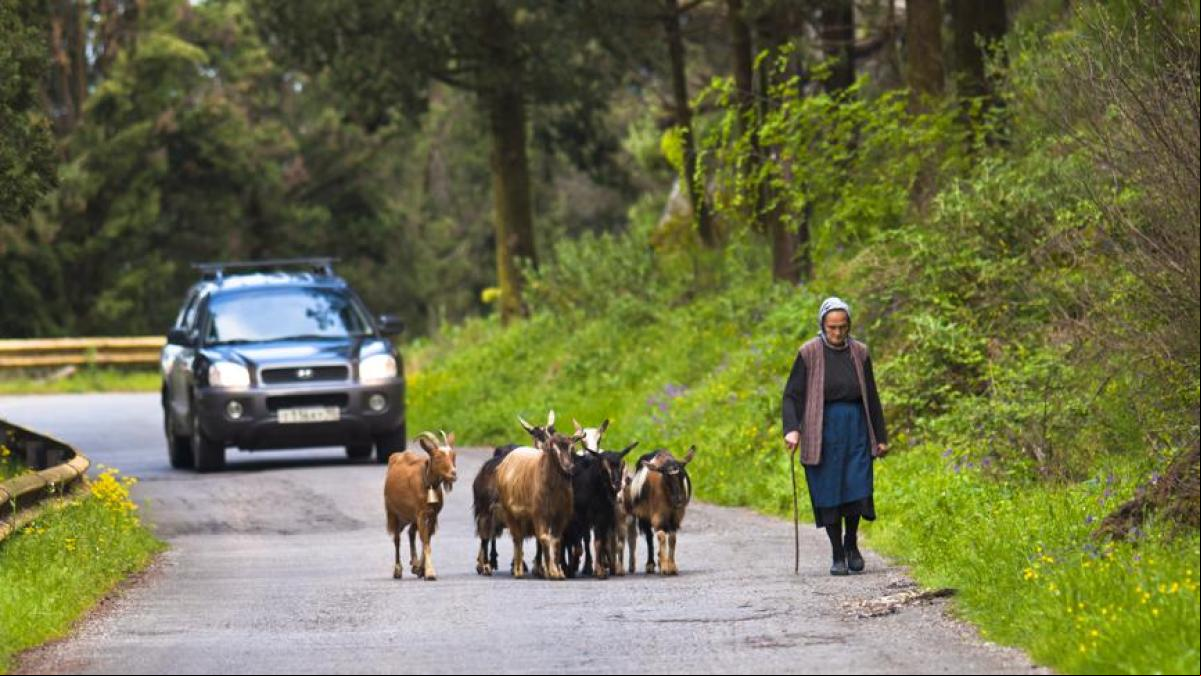 Albania: tartanas y Mercedes