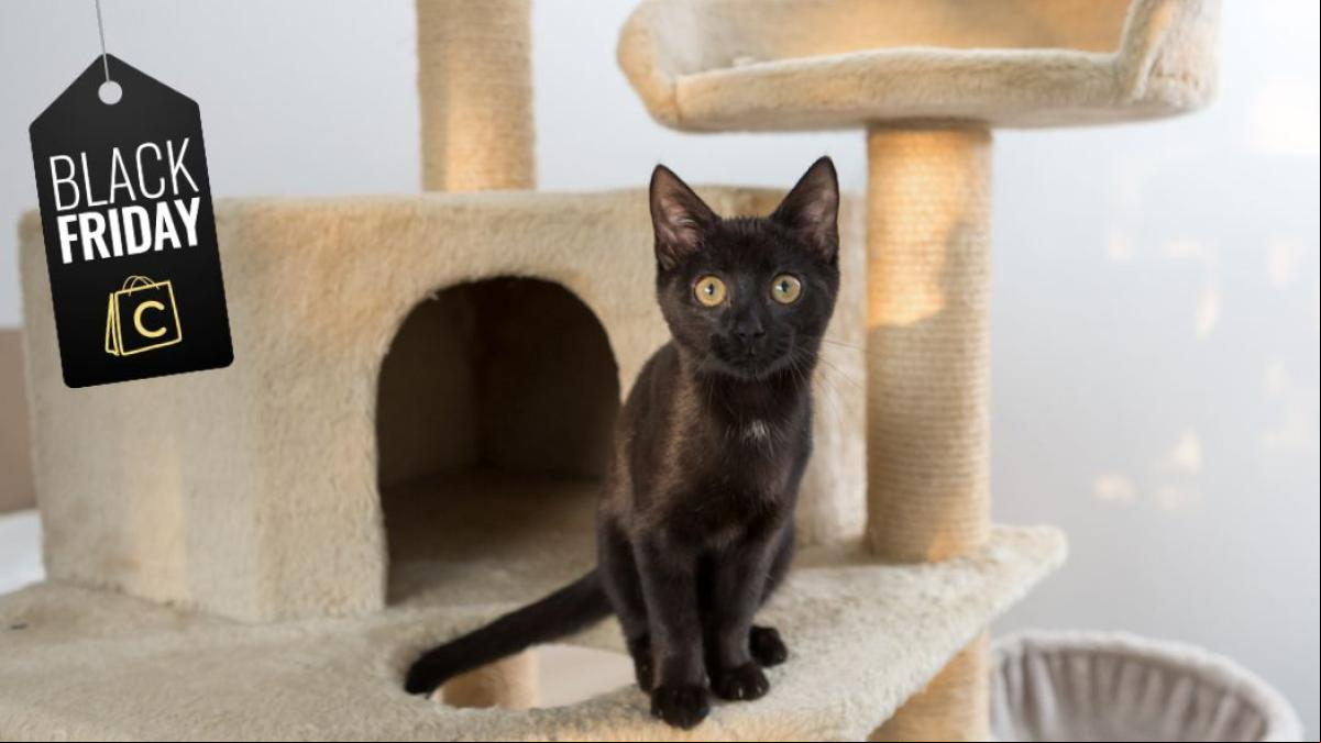 El rascador grande para gatos que todo el mundo quiere, tiene rebaja de Black Friday