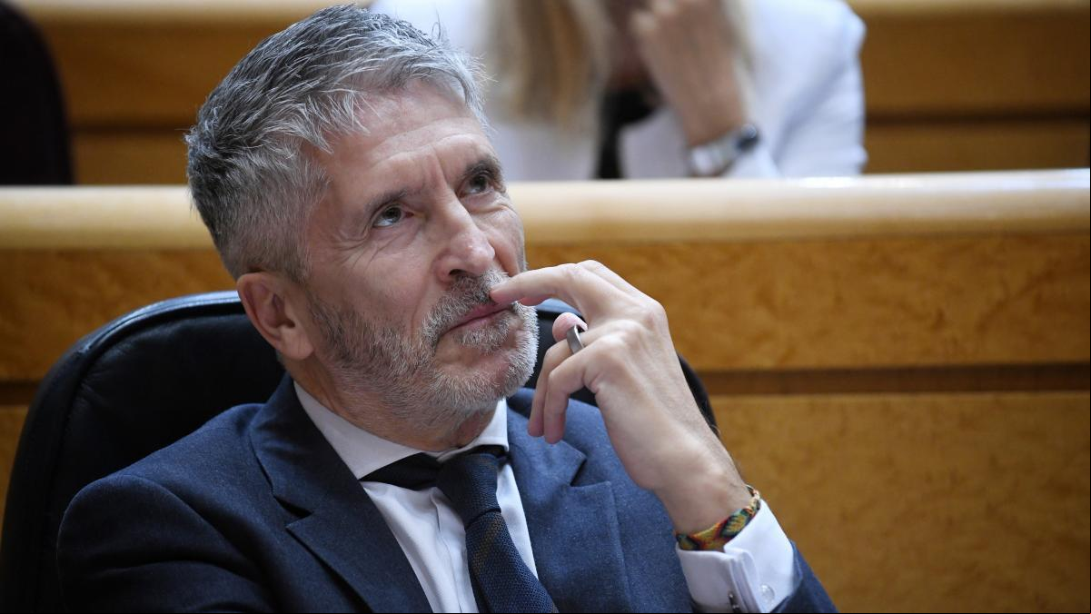 Marlaska inicia los trámites para prohibir a Aldama el uso de la medalla de la Guardia Civil Marlaska inicia los trámites para prohibir a Aldama el uso de la medalla de la Guardia Civil