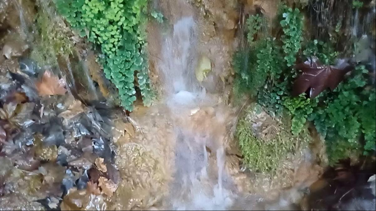 El oasis del Torrent de Colobrers