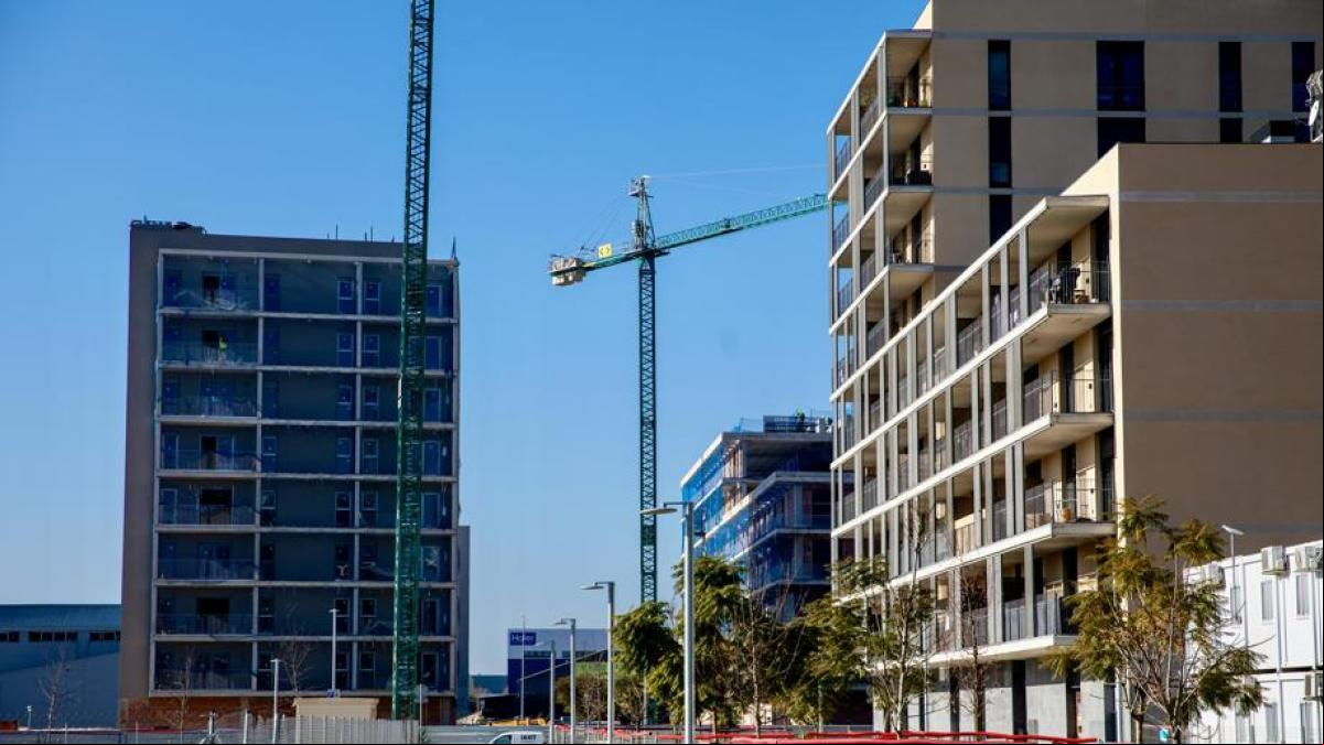 Carme Trilla propone agrupar en un solo edificio los pisos obtenidos con el 30%