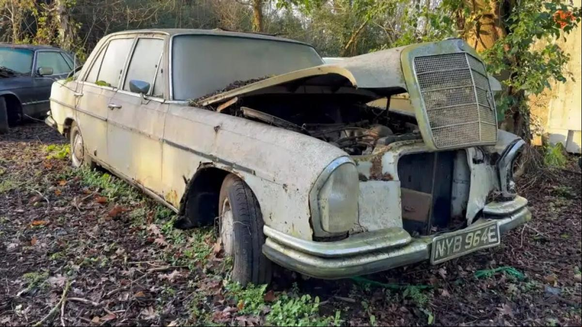 El bosque perdido en un rincón del Reino Unido que está lleno de coches de lujo abandonados