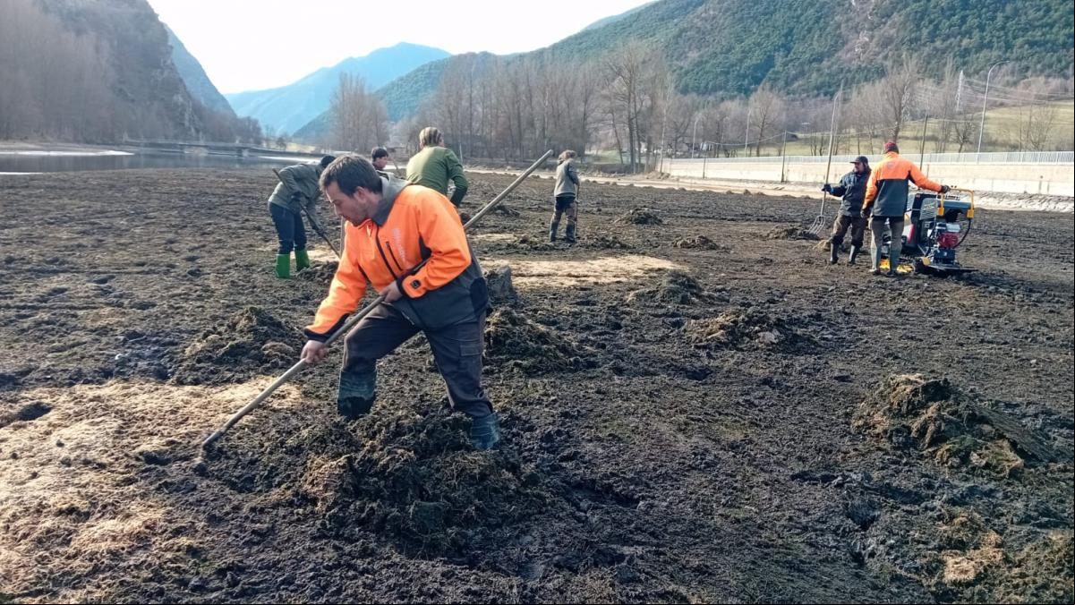 El Parc Natural de l’Alt Pirineu lleva 15 quince años luchando contra una especie invasora en el pantano de la Torrassa