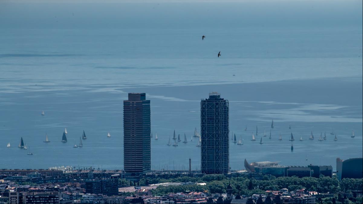 El vuelo de las golondrinas sobre Barcelona