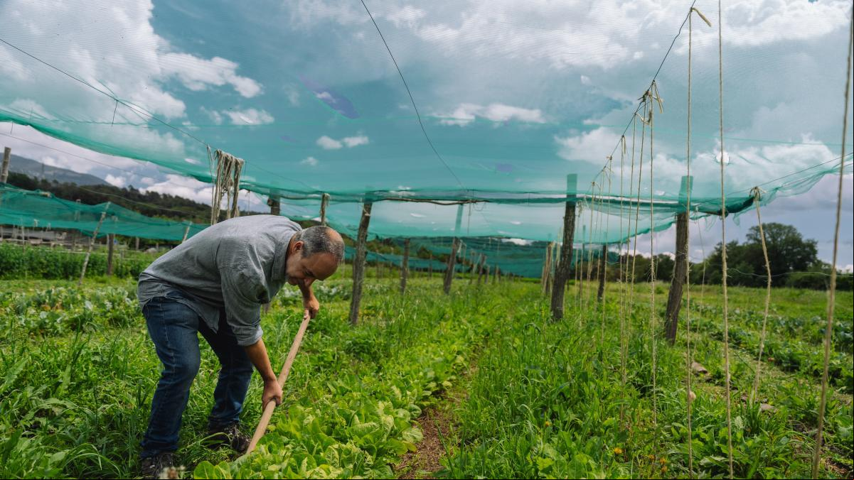 La revolución regenerativa en la alimentación