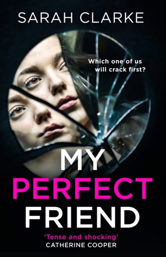 MY PERFECT FRIEND (edición en inglés)