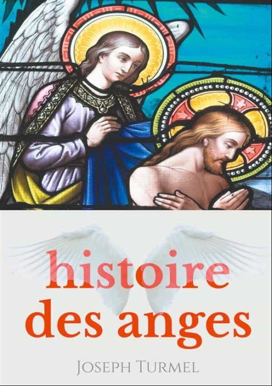 HISTOIRE DES ANGES EBOOK (edición en francés)