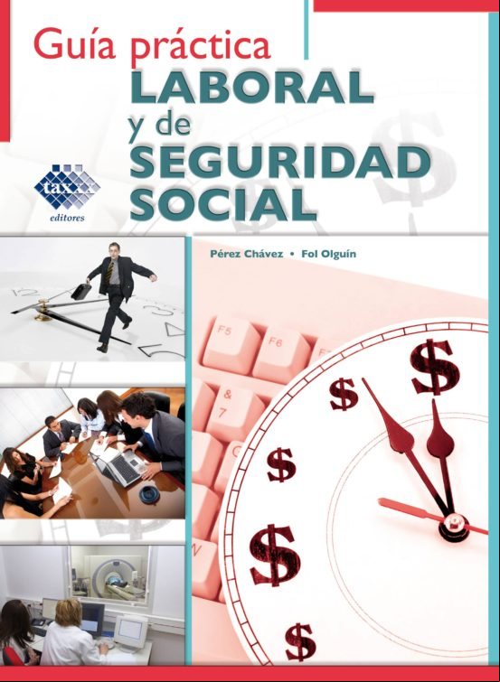 Guía Práctica Laboral Y De Seguridad Social 2016 (ebook)