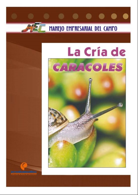 La Cría De Caracoles (ebook)