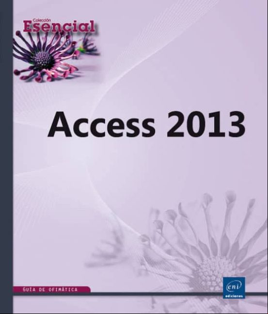 Access 2013