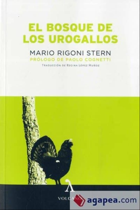El Bosque De Los Urogallos El Bosque De Los Urogallos