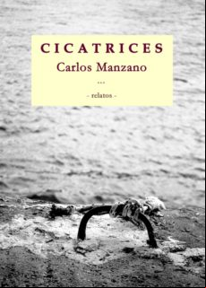 Cicatrices (ebook)