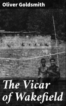 THE VICAR OF WAKEFIELD EBOOK (edición en inglés)