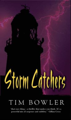 Rollercoaster: Storm Catchers