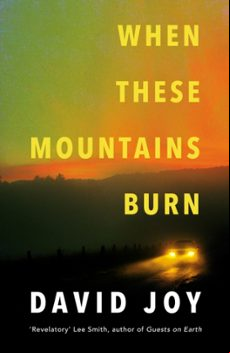 WHEN THESE MOUNTAINS BURN (edición en inglés)