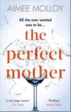 The Perfect Mother