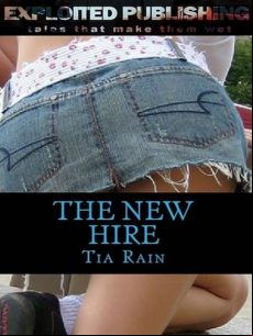 The New Hire (ebook)